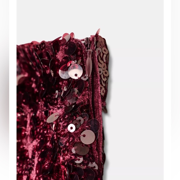 Zara Burgundy Sequin Pants - Picture 8 of 11